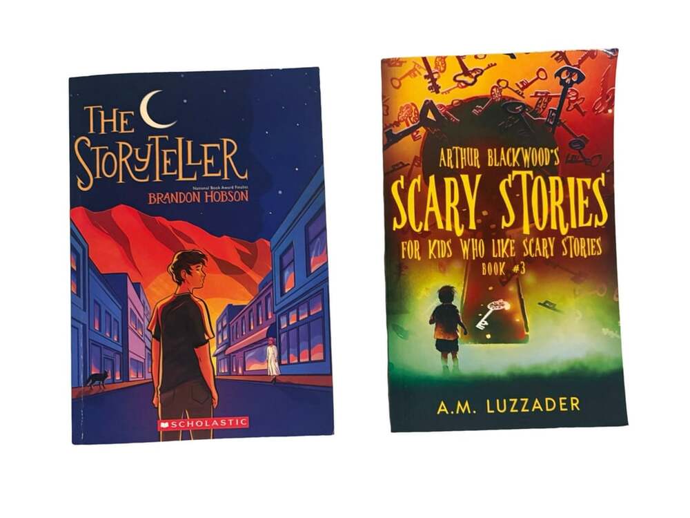 Lot of 2 Paperback Books: The Storyteller & Scary Stories for Kids Who Like Scar